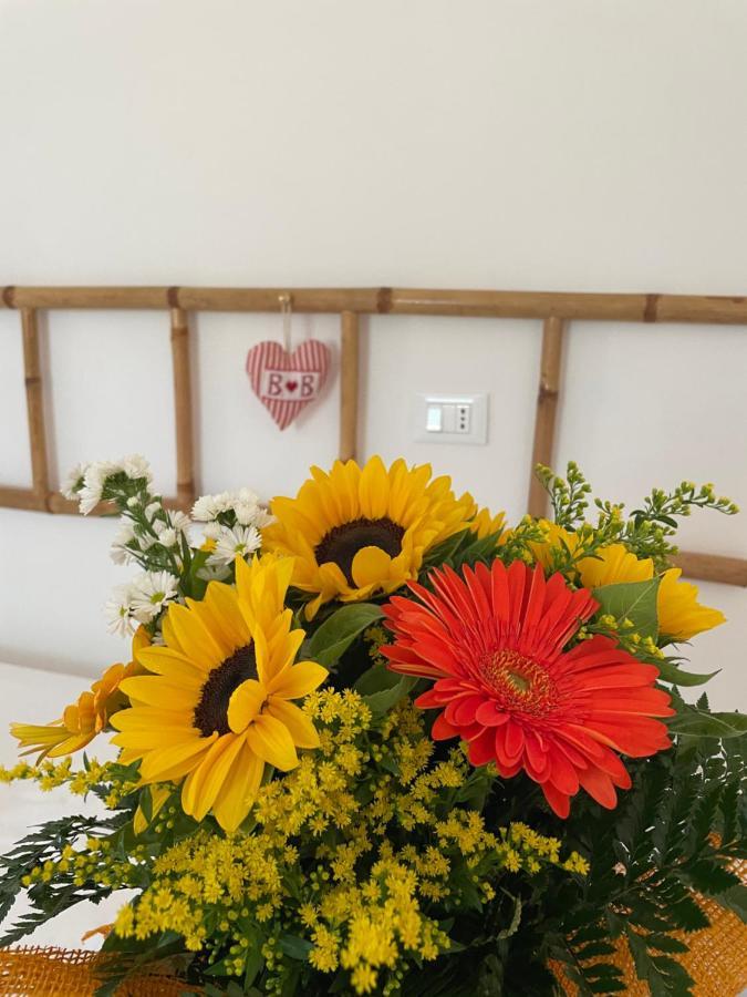 Sunflower Lanciano Bagian luar foto