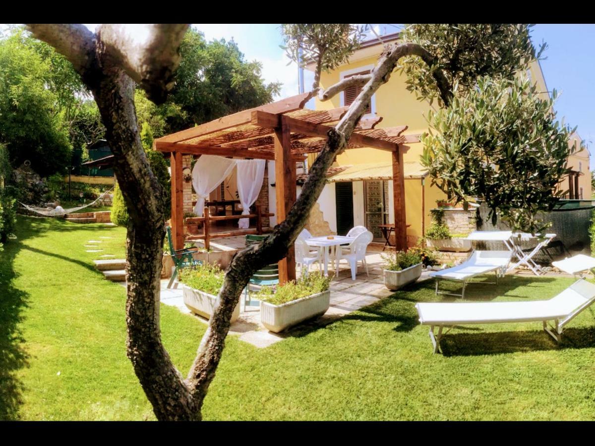 Sunflower Lanciano Bagian luar foto